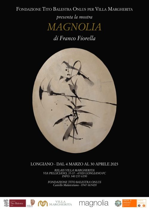 Magnolia – opere di Franco Fiorella